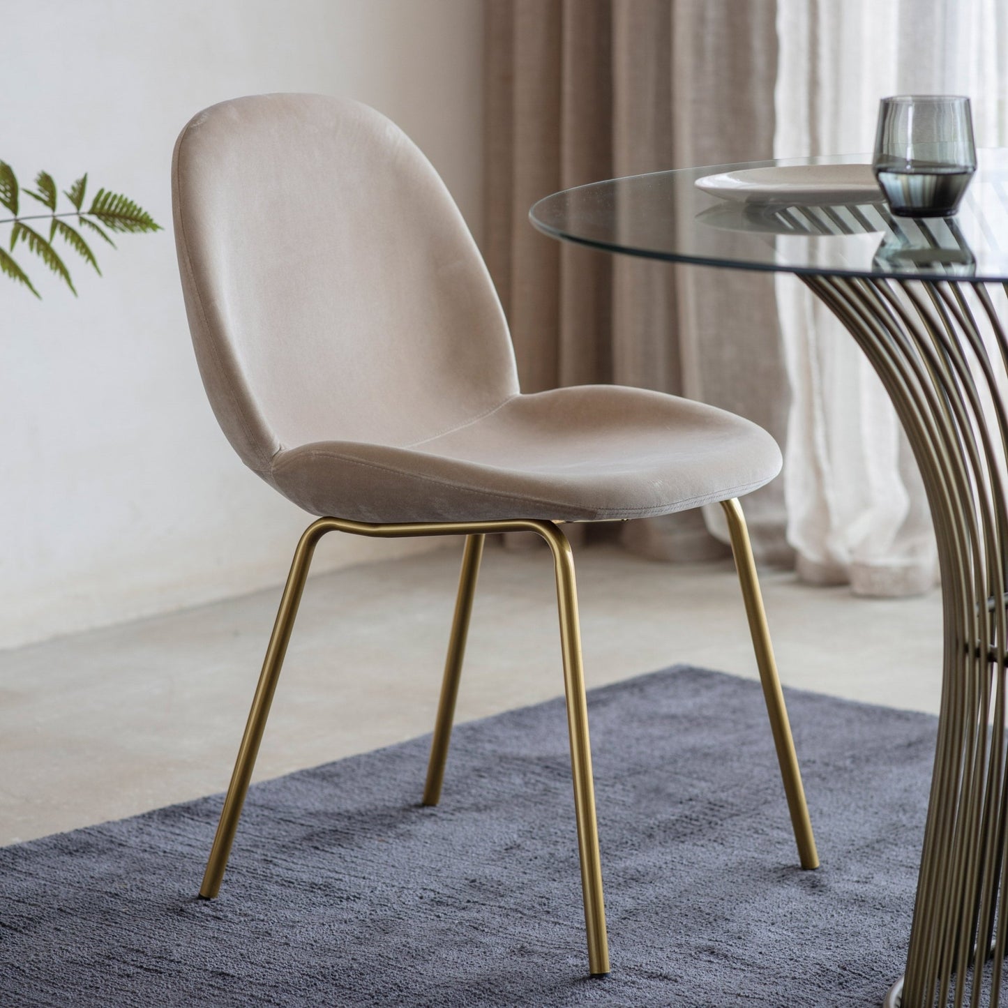 Flanagan Chair - Oatmeal Velvet (2pk) - hdesign - Dining Chairs