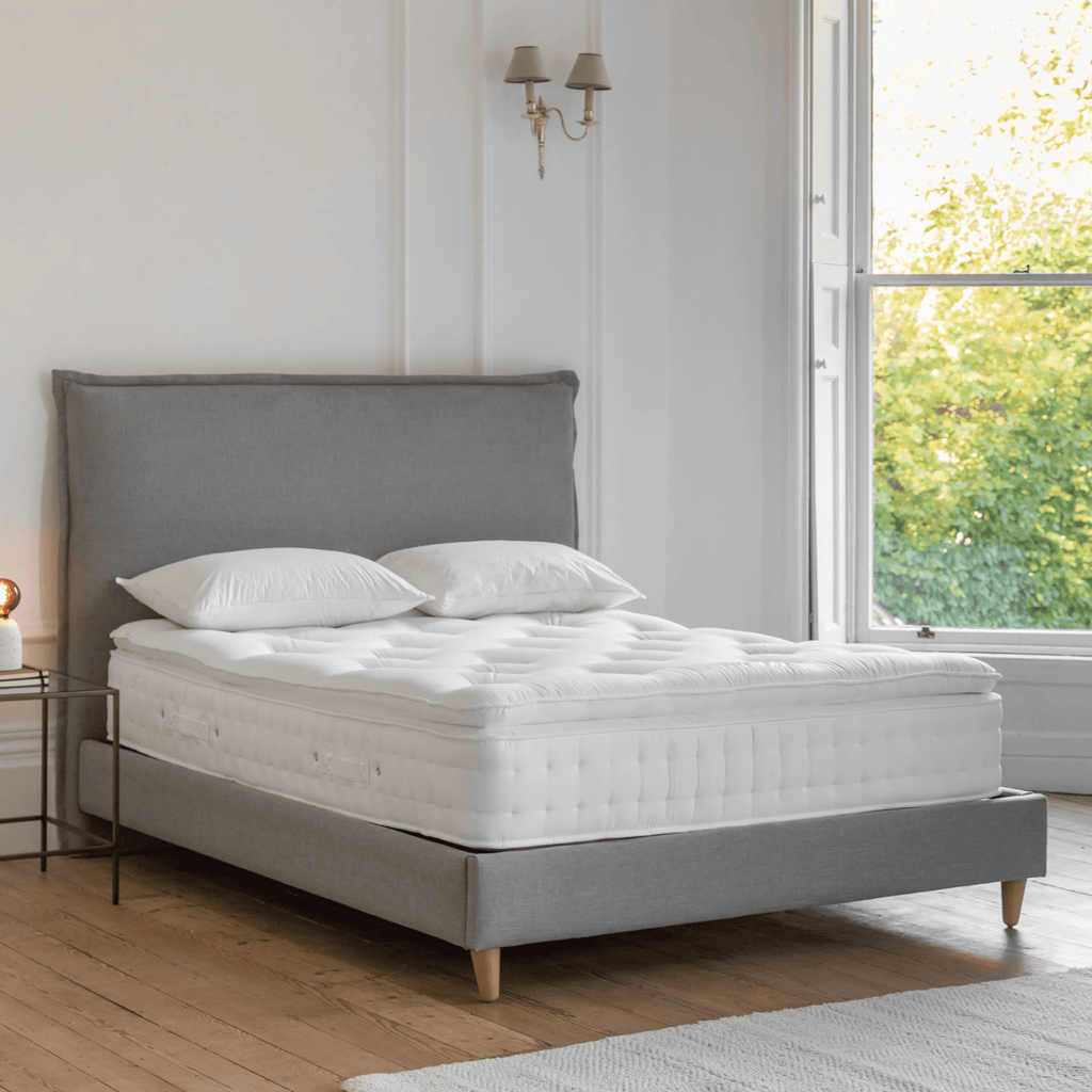 Cotton 1600 Pillowtop Mattress - hdesign - Mattress