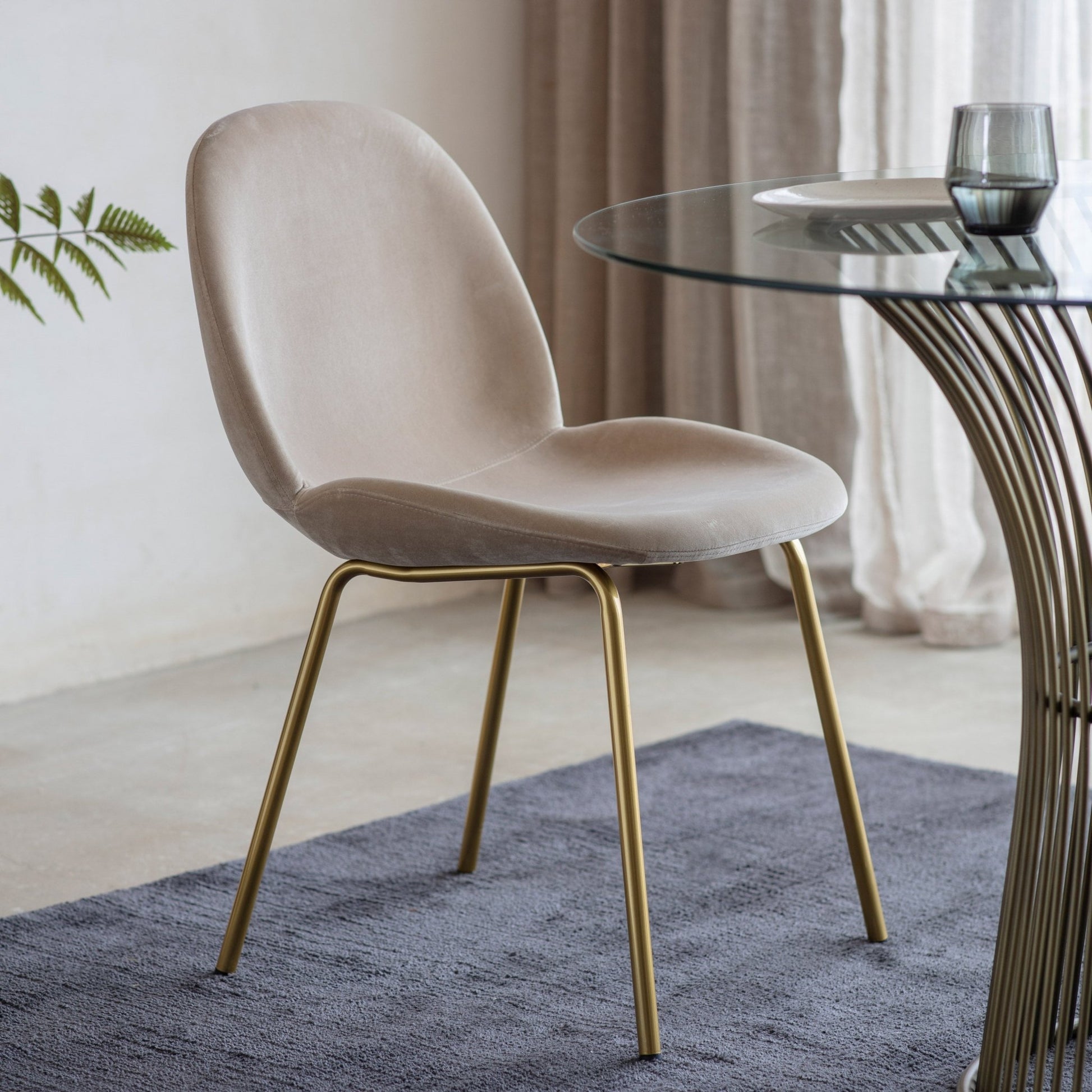 Flanagan Chair - Oatmeal Velvet (2pk) - hdesign - Dining Chairs