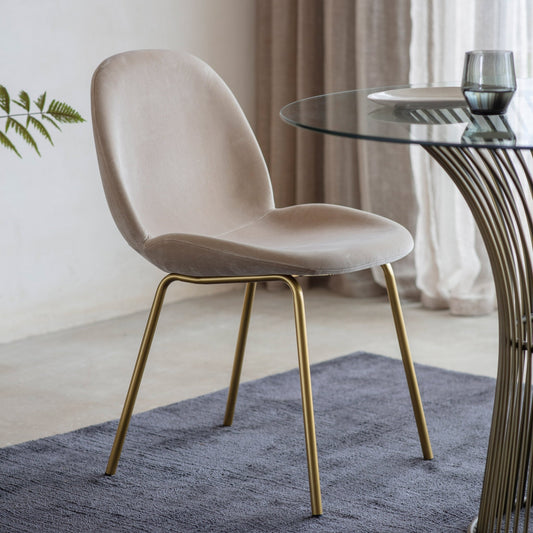 Flanagan Chair - Oatmeal Velvet (2pk) - hdesign - Dining Chairs