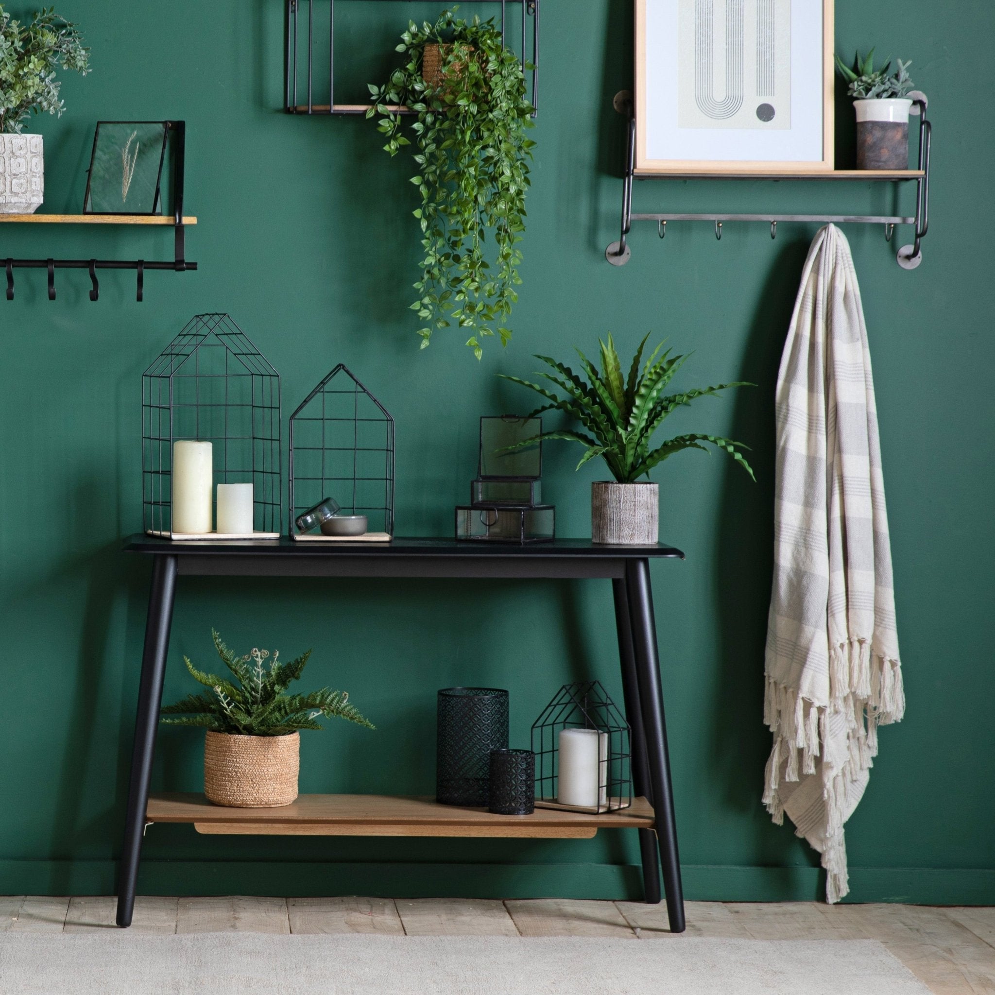 Potted Asplenium Fern - hdesign - Plants