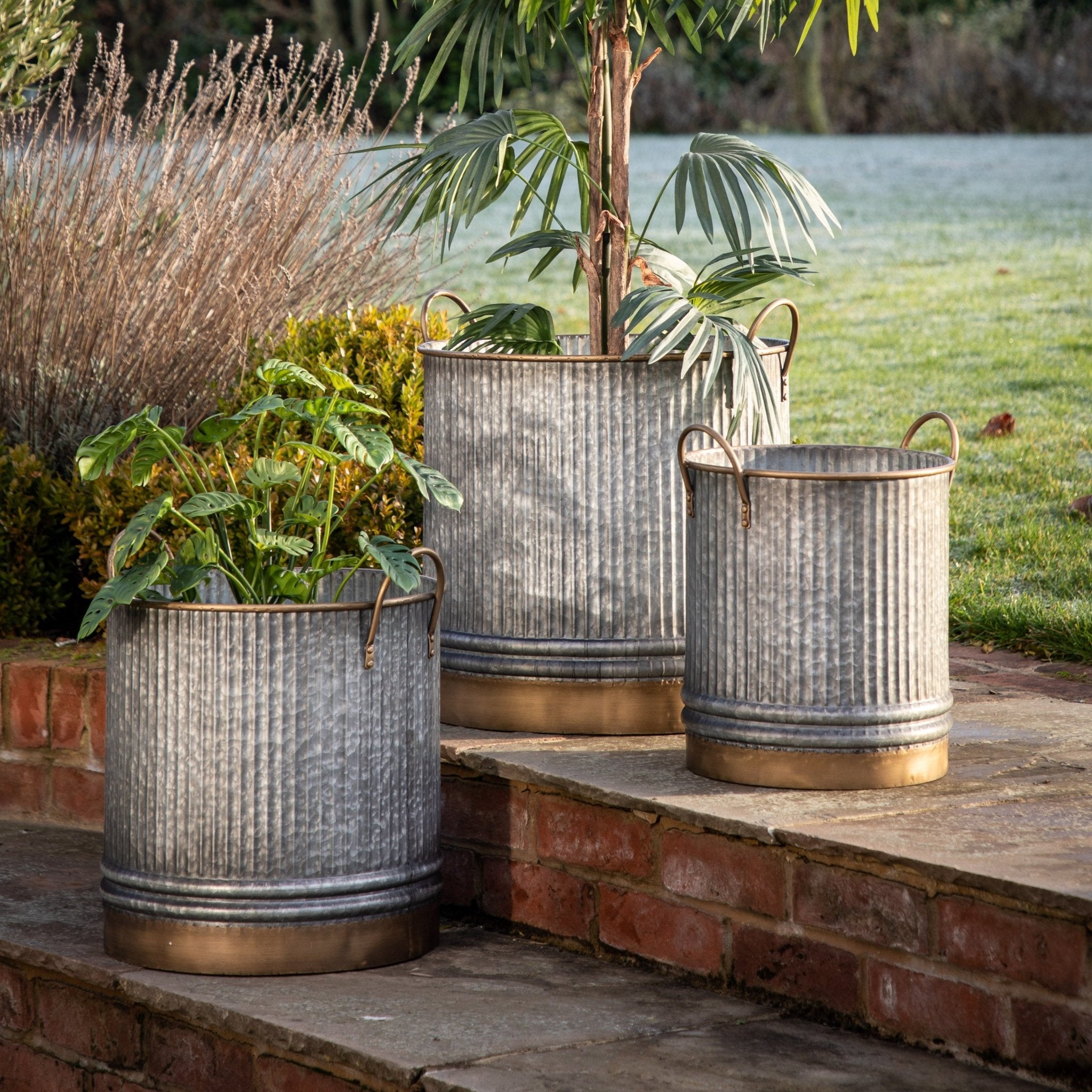 Sylvie Planter (Set of 3) - hdesign - Planters
